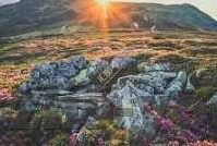 大象视频回家导航dxd-科技新篇章，大象视频与DXD导航技术引领动物归家新纪元
