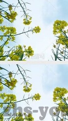 果冻传媒 91传媒-探索果冻传媒与91传媒，数字时代的娱乐新篇章