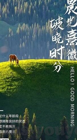 麻豆传媒视频资源下载-解密网络资源，麻豆传媒视频的合法与伦理边界探讨