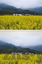 麻豆传媒线上-麻豆传媒线上，透视媒体行业的数字转型与内容创新