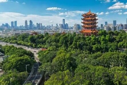 麻豆视频传媒app下载-抓住当下数字娱乐的脉搏，麻豆视频传媒APP的下载体验