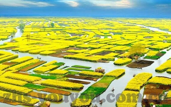 欧美一区二区在线视频-欧美一区二区在线视频，网络时代的文化交汇与内容多样性