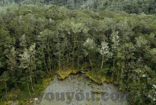 日韩av不卡在线播放-日韩AV高清流畅播放的秘密，技术革新与用户体验的双重提升