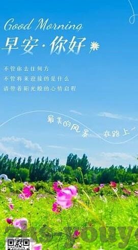 日韩av片免费播放-揭秘网络灰色地带，日韩AV片免费播放的诱惑与风险