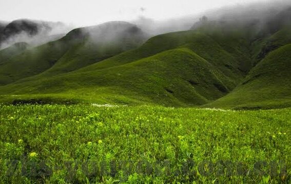 糖心app苹果版本-糖心app在苹果设备上的精彩体验