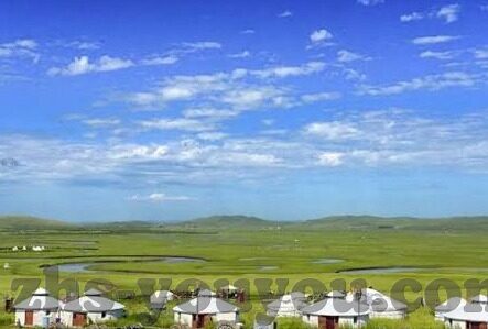 糖心聊天app-糖心聊天app，构建私密空间，情感交流新体验的探索