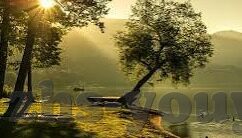 糖心vlog可爱兔洛丽塔-甜蜜的糖心，Vlog中的可爱兔与洛丽塔梦幻之旅